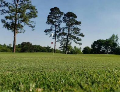chicora golf _174