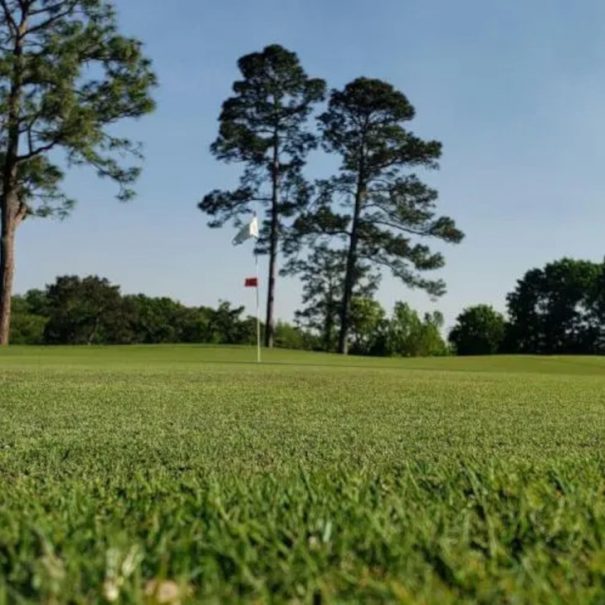 chicora golf _174