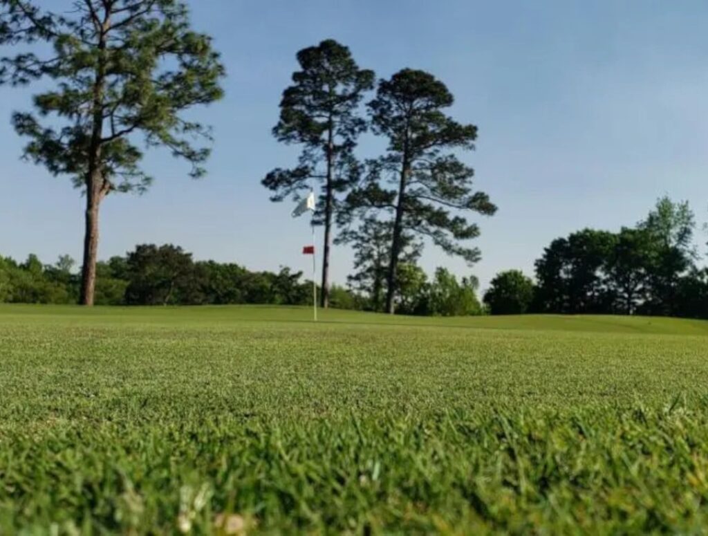 chicora golf _174
